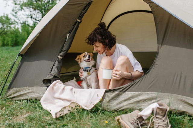 You may be taking your dog on longer walks and engaging in more strenuous activities when you’re away. Your dog might be used to only a couple hours of exercise a day, so try to increase this gradually and make sure they are always hydrated – especially in the hotter months!