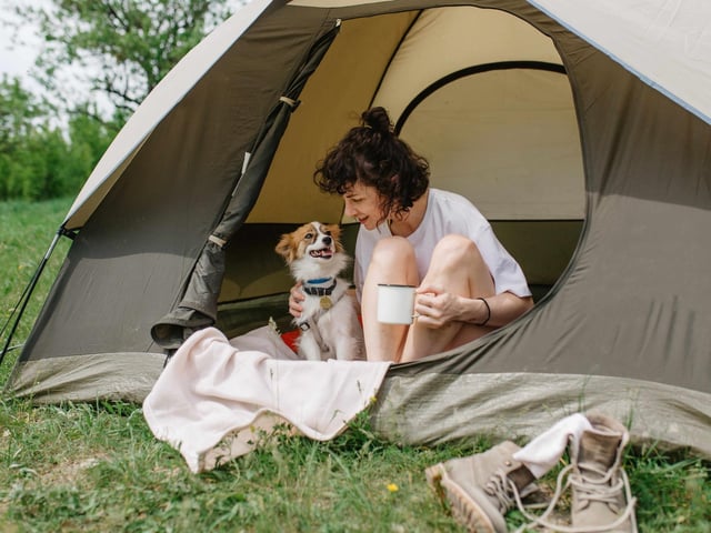 You may be taking your dog on longer walks and engaging in more strenuous activities when you’re away. Your dog might be used to only a couple hours of exercise a day, so try to increase this gradually and make sure they are always hydrated – especially in the hotter months!