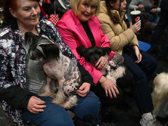 People sit with their Chinese Crested dogs as they watch the judging on the final day of the Crufts dog show.