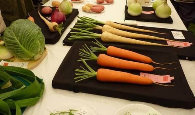 There will be plenty of competition at Cruden Bay Flower and Veg Show later this month.