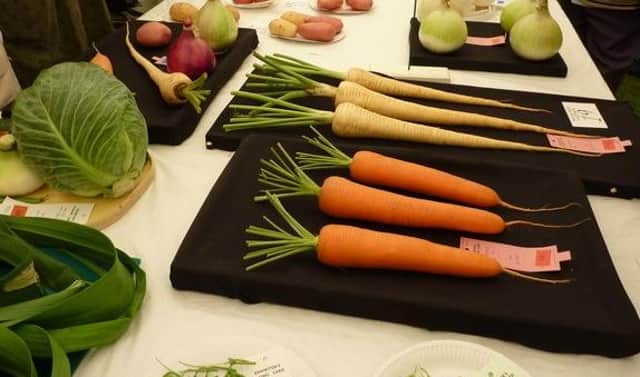 There will be plenty of competition at Cruden Bay Flower and Veg Show later this month.