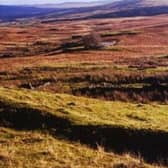 The crumbling remains of Whitehead today. The site will be visited next week by archaeologists and local historian Anna Campbell. PIC: Galloway Glens Landscape Partnership.