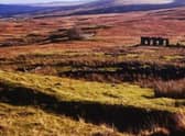 The crumbling remains of Whitehead today. The site will be visited next week by archaeologists and local historian Anna Campbell. PIC: Galloway Glens Landscape Partnership.