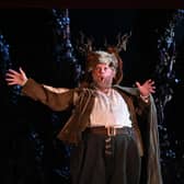 Roland Wood as Falstaff PIC: Julie Howden
