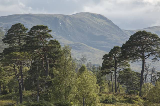 Banditry was rife through parts of the Highlands during the 17th and 18th Century, including Lochaber (pictured). PIC: Woodland Trust, John MacPherson.