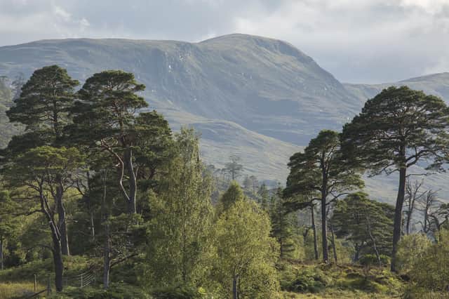 Banditry was rife through parts of the Highlands during the 17th and 18th Century, including Lochaber (pictured). PIC: Woodland Trust, John MacPherson.