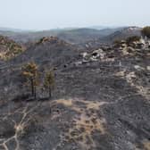 An area of hillside destroyed by wild fire in Lardos, Rhodes, Greece.