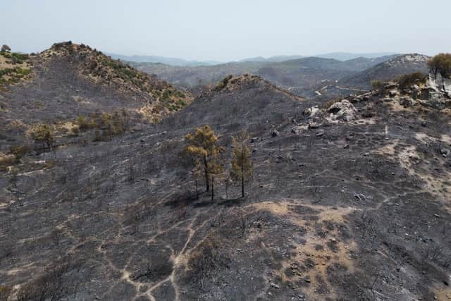 An area of hillside destroyed by wild fire in Lardos, Rhodes, Greece.