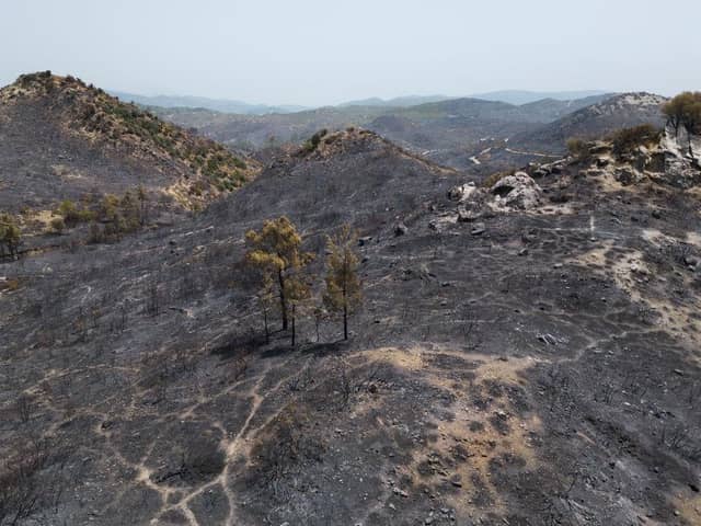 An area of hillside destroyed by wild fire in Lardos, Rhodes, Greece.