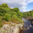 Contin Forest, near Strathpeffer, is home to acres of birch, pine and spruce woodland with amazing views over Strathconon. Take a break at Rogie Falls, where you can see leaping migrating salmon battle the cascading water.