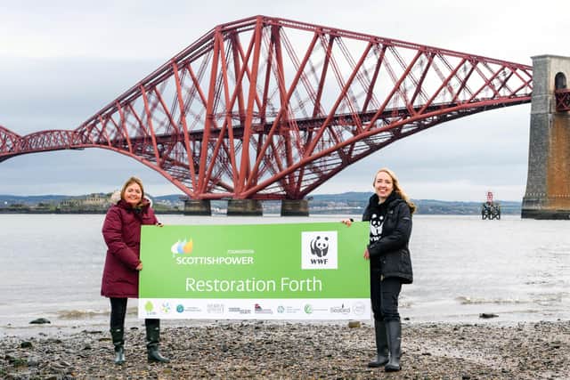 Partners collaborating with wildlife charity WWF to deliver the Restoration Forth initiative, which is supported by a £600,000 grant from the ScottishPower Foundation's new Marine Biodiversity Fund, include Edinburgh Shoreline Project, Fife Coast & Countryside Trust, Heriot Watt University, Marine Conservation Society, Project Seagrass, Royal Botanic Garden Edinburgh, Scottish Seabird Centre, The Ecology Centre, The Heart of Newhaven Community and Wardie Bay Beachwatch