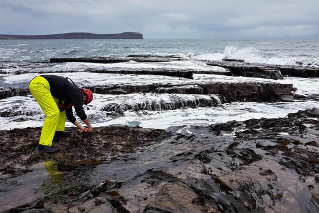 The Shore harvesting team hand-gather seaweed along a 50-mile stretch of coastline around John O Groats. Picture: Glen Minikin