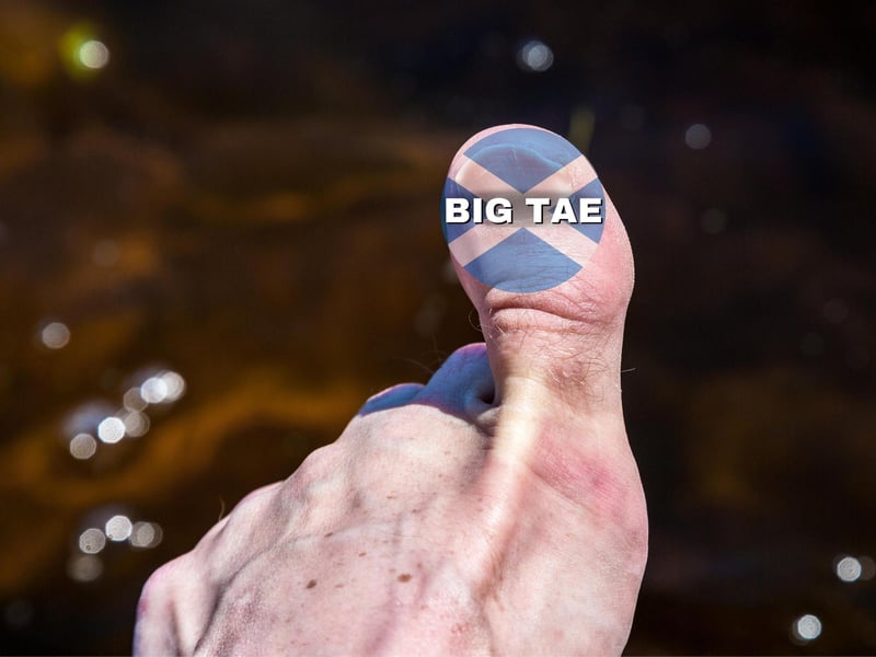 Pronounced like “tays” the term is the Scots equivalent for a toe. Just like with regular English, rather than say “big toe” you can refer to it as “yer big tae”.