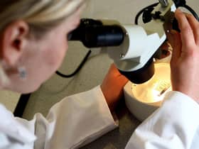 A team said the use of HRT, which helps control symptoms of the menopause, is associated with better memory