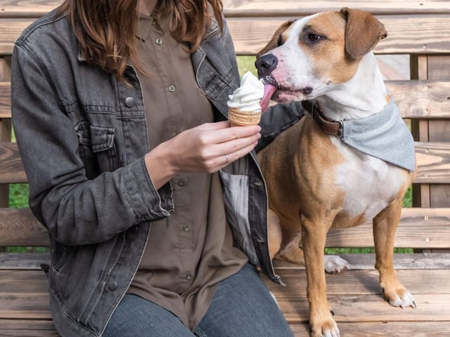 Humans are not the only creatures that like cool food in warm weather. Keep your dog food and treats in the fridge for chilled serving and/or feed them wet food. A cool dish of raw meat is the perfect summer supper, while bone broth lollies are great summer snacks. Pop your bone broth into some ice cube or lolly moulds, leave in the freezer for a few hours and serve. You can even use a pizzle as the lolly stick.