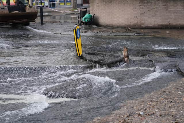 Extreme weather events across the UK this year, such as heatwaves, floods and fires, have made three-fifths of people in Scotland more concerned about climate change.