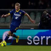Former Hibs defender Josh Doig in action for Hellas Verona during a Serie A match against Cremonese at Stadio Marcantonio Bentegodi. (Photo by Emmanuele Ciancaglini/Getty Images)