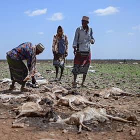 A devastating drought in northern Kenya was followed by flash floods early last year (Picture: Tony Karumba/AFP via Getty Images)