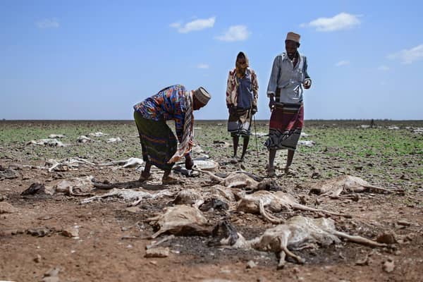 A devastating drought in northern Kenya was followed by flash floods early last year (Picture: Tony Karumba/AFP via Getty Images)