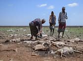 A devastating drought in northern Kenya was followed by flash floods early last year (Picture: Tony Karumba/AFP via Getty Images)