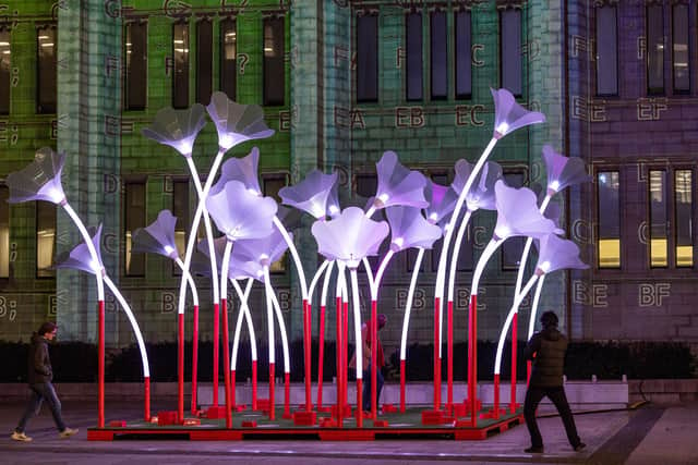 Trumpet Flowers by amigo and amigo is also located on Broad Street and is one of this year’s only interactive installations. Visitors can make their own tune among the blooms by jumping between foot pad beneath the giant, illuminated stems. PIC: Ian Georgeson