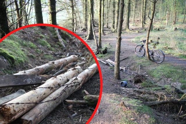 Photos from the route, which is classified as “green” and suitable for beginner riders, show it blocked at key sections by the obstacles. (Ally Mitchell)