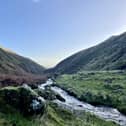 Analysis of the Scottish Government's consultation on the proposed Land Reform Bill have been released (Katharine Hay/The Scotsman)