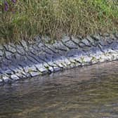 Low river flows in River Eden