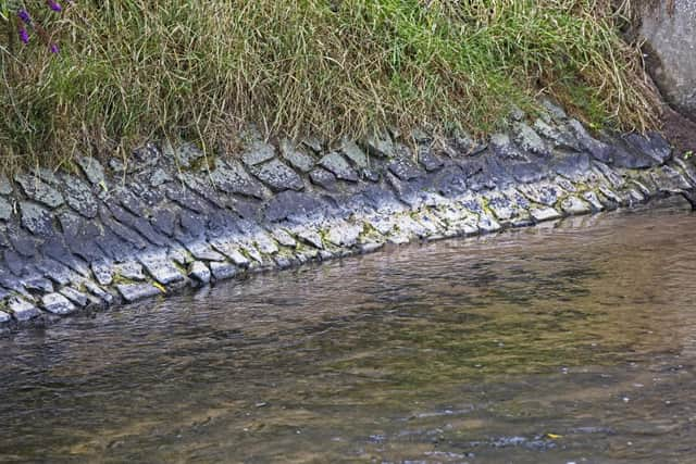 Low river flows in River Eden