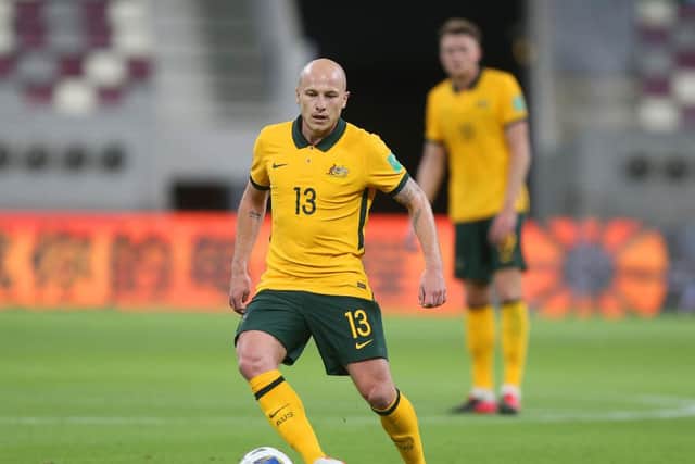 Aaron Mooy of Australia. (Photo by Mohamed Farag/Getty Images)