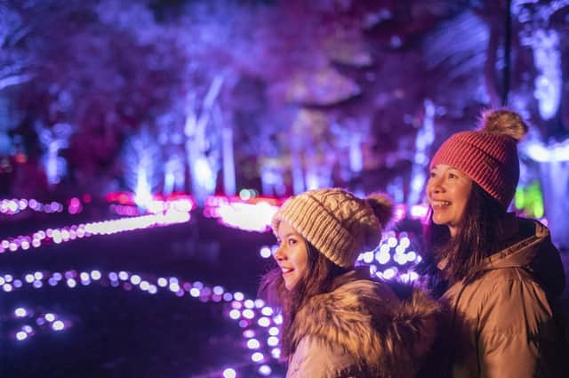 Making magical memories with loved ones at Christmas At The Botanics