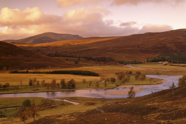 A raft of conservation work is being carried out by NTS workers at Mar Lodge estate in Aberdeenshire, including restoration of peatlands and work to improve riverside habitats to benefit wildlife -- particularly salmon