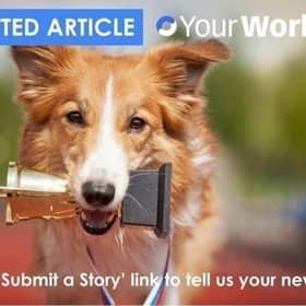 Submit your story - it's quick and easy to do. See our video for details