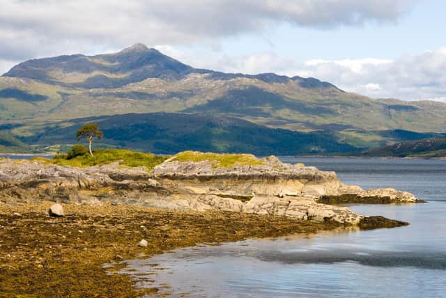 Loch Sunart on the Ardnamurchan peninsula, a top destination for wildlife spotters.