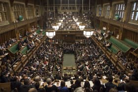 The House of Commons chamber:  When former cabinet minister Owen Paterson was found to have broken lobbying rules and violated MPs’ rules of conduct, the term 'sleaze' was a linguistic slam-dunk for both the Opposition and the media, writes Susie Dent.