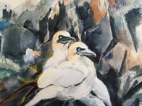 Annie Broadley's painting 'Bass Rock Gannets'
