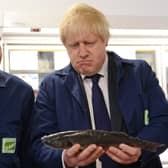Prime Minister Boris Johnson has been urged to "stem the haemorrhage" of foreign workers in the fishing industry following Brexit by fishing leaders in Scotland (Photo: Stefan Rousseau).
