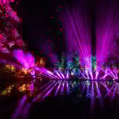 The Enchanted Forest has been plagued by traffic delays due to A9 works