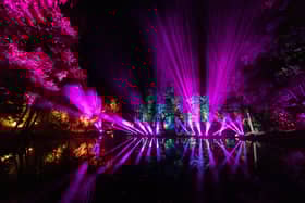 The Enchanted Forest has been plagued by traffic delays due to A9 works