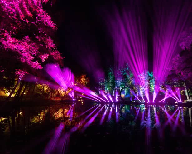 The Enchanted Forest has been plagued by traffic delays due to A9 works