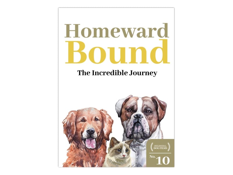 At number ten on our list of sad dog movies, we have a family-friendly Disney hit that most people will have heard. Homeward Bound: The Incredible Journey is a heartwarming story of two dogs and a cat, whose owners go on holiday without them. Trouble is, they believe they’ve been abandoned and set out on a long, treacherous journey to be reunited with them.