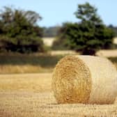 Farmers are struggling to bale their hay because of unseasonably wet weather since the beginning of July (pic: Anthony Devlin)