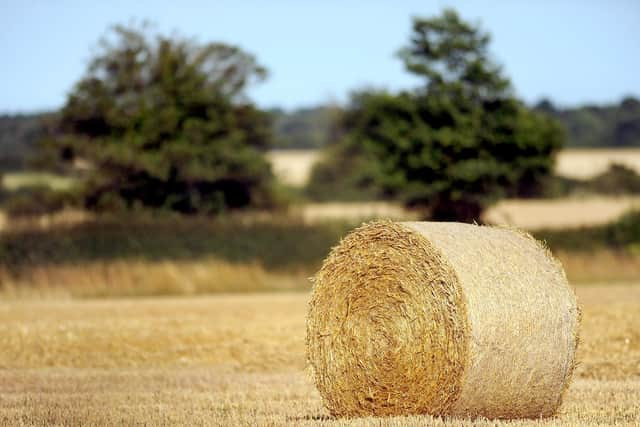 Farmers are struggling to bale their hay because of unseasonably wet weather since the beginning of July (pic: Anthony Devlin)