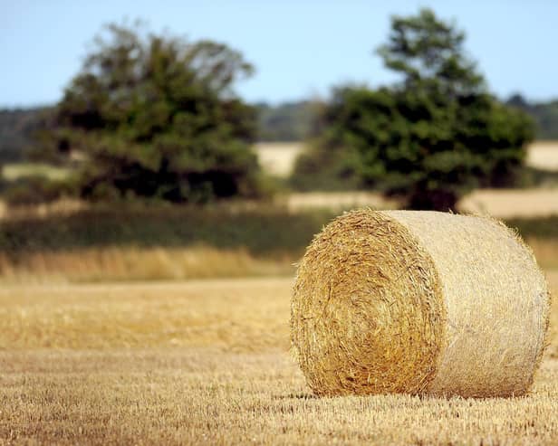 Farmers are struggling to bale their hay because of unseasonably wet weather since the beginning of July (pic: Anthony Devlin)