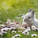 Easter Sunday (also known as Resurrection Sunday) will fall on April 9 this year.