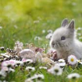 Easter Sunday (also known as Resurrection Sunday) will fall on April 9 this year.