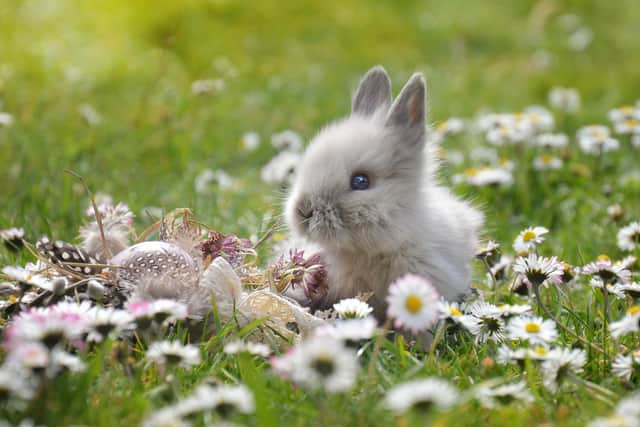Easter Sunday (also known as Resurrection Sunday) will fall on April 9 this year.