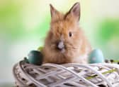 The date of Easter changes yearly. In 2023, the celebration will fall on Sunday, April 9.
