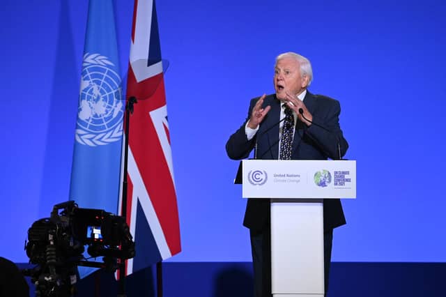 Naturalist and broadcaster David Attenborough issued a stirring rallying cry to world leaders at the COP26 climate change summit in Glasgow (Picture: Jeff J Mitchell/Getty Images)