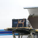 Yang Guang and Tian Tian are loaded onto  a China Southern cargo plane at Edinburgh Airport. Photo: Jane Barlow/PA Wire